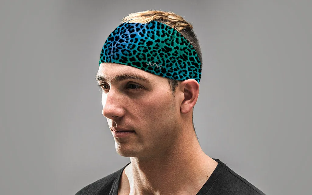 Aqua Cat Headband