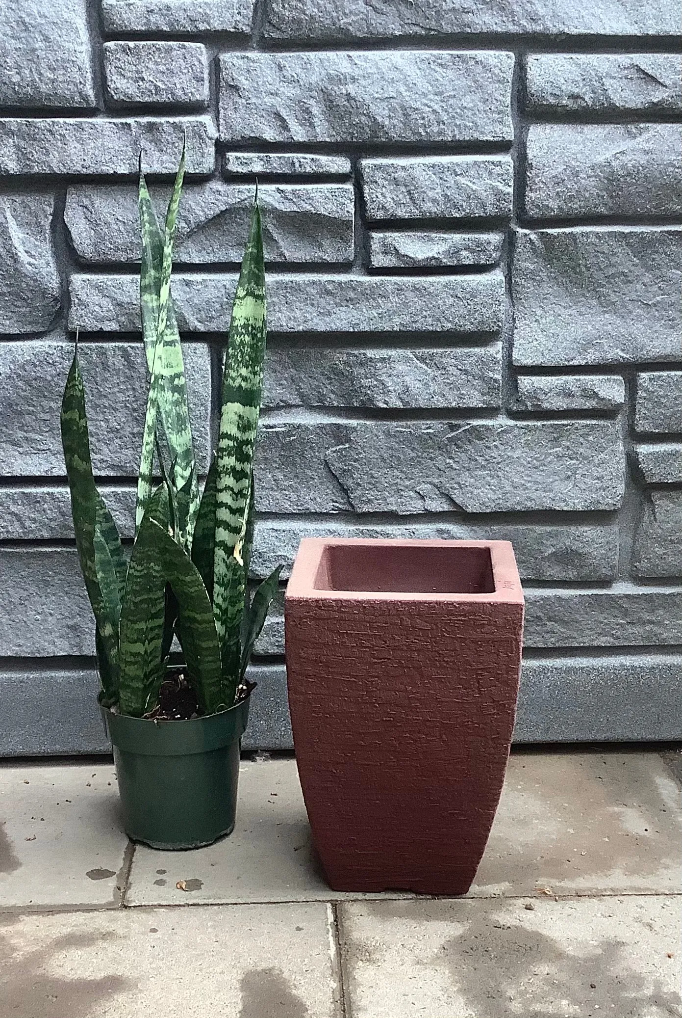 Modern Square Planter