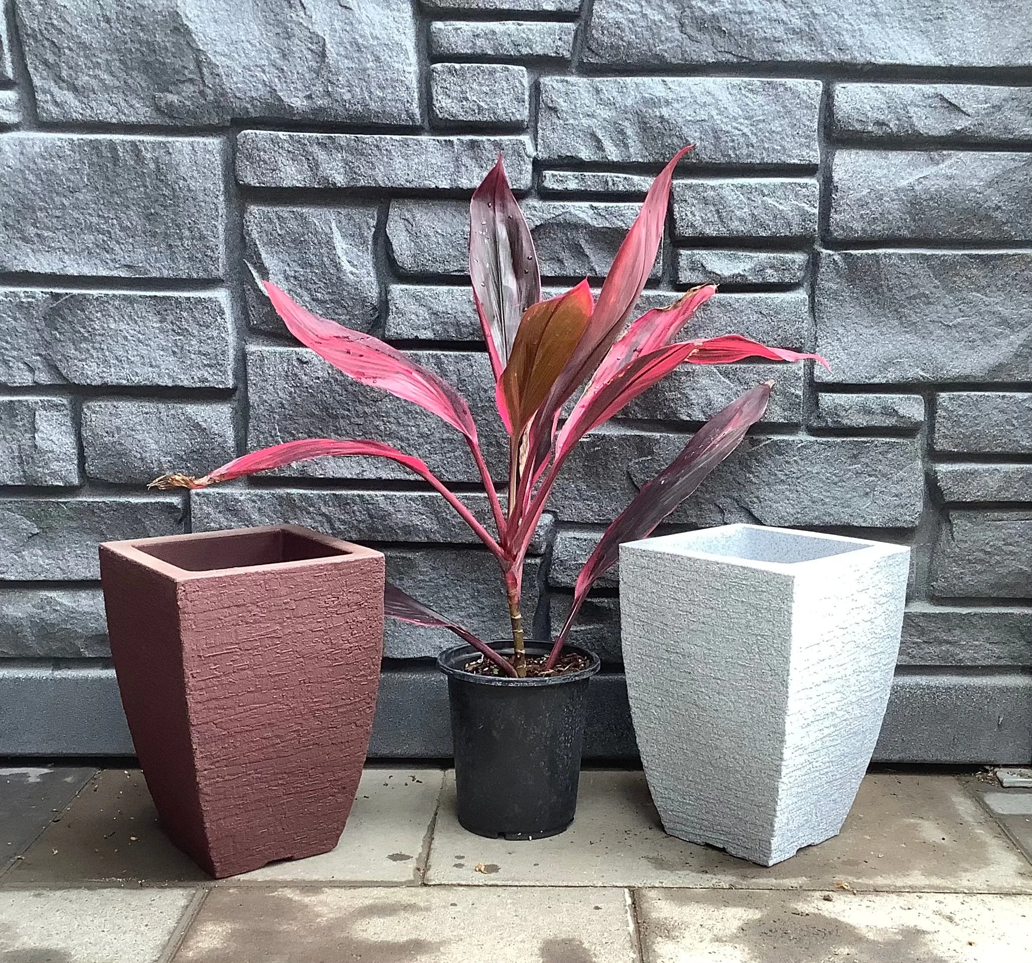 Modern Square Planter